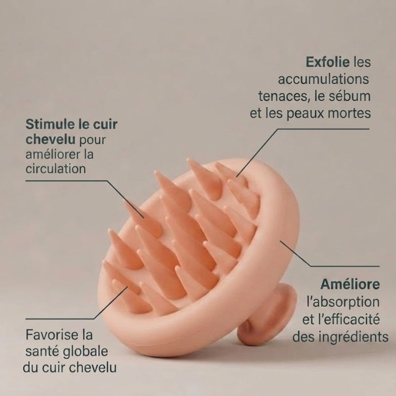 Brosse de massage du cuir chevelu