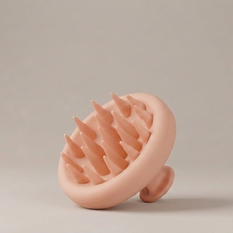 Brosse de massage du cuir chevelu